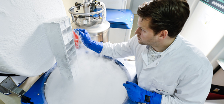 cellular-sourcing-services-immunxperts